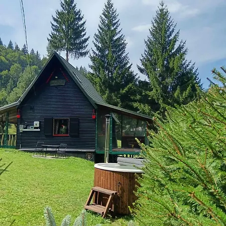 Schwarz Kabin Neagra Exterior photo